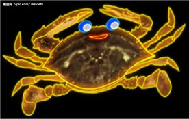 霓虹灯分层素材PSD—海鲜02