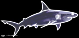 霓虹灯分层素材PSD—海鲜03