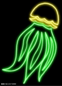 霓虹灯分层素材PSD—海鲜06