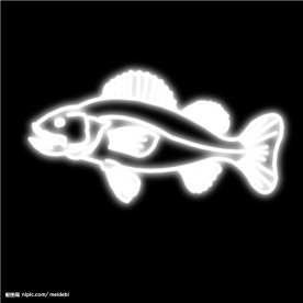 霓虹灯分层素材PSD—海鲜28