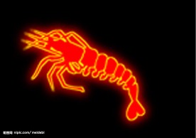 霓虹灯分层素材PSD—海鲜32