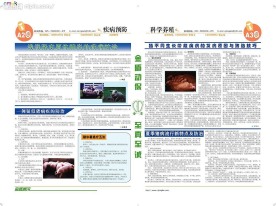 报刊二