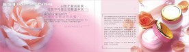 DM设计