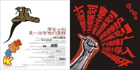 DM设计