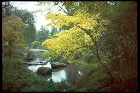 高清 山水 摄影 风光