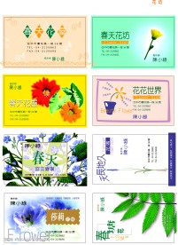 花店名片