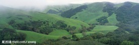 山