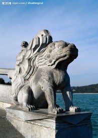 中国龙与兽
