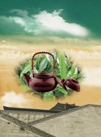 茶文化