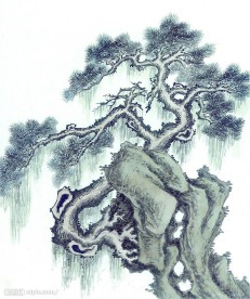 国画系列—古树奇石（63张）