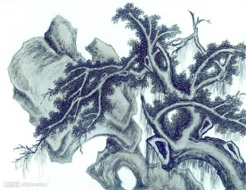 国画系列—古树奇石（63张）
