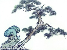 国画系列—古树奇石（63张）