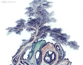 国画系列—古树奇石（63张）