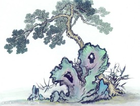 国画系列—古树奇石（63张）