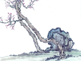 国画系列—古树奇石（63张）