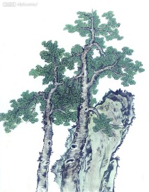 国画系列—古树奇石（63张）