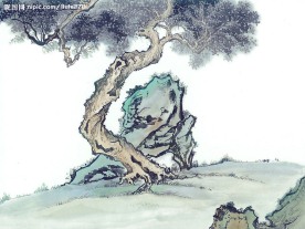 国画系列—古树奇石（63张）