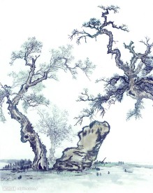 国画系列—古树奇石（63张）