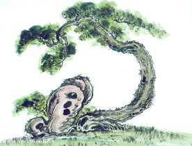 国画系列—古树奇石（63张）