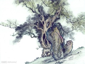 国画系列—古树奇石（63张）