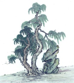 国画系列—古树奇石（63张）