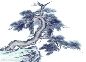 国画系列—古树奇石（63张）