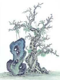 国画系列—古树奇石（63张）