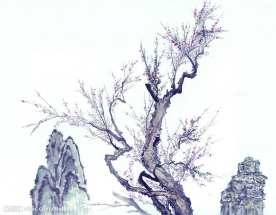 国画系列—古树奇石（63张）