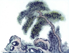 国画系列—古树奇石（63张）
