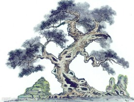 国画系列—古树奇石（63张）
