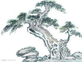 国画系列—古树奇石（63张）