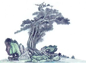 国画系列—古树奇石（63张）
