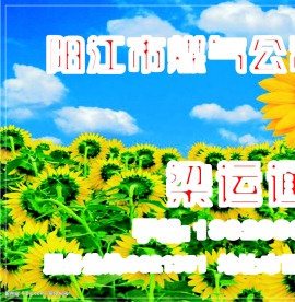 名片素材