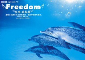 自由海报-成长篇