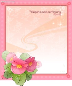精美花纹边框