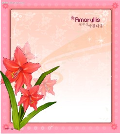 精美花纹边框