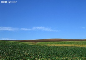 蓝天白云田野大地庄稼(老牛爱吃嫩草上传)