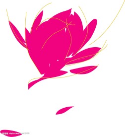 潮流花纹系列