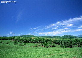 蓝天白云田野大地庄稼(老牛爱吃嫩草上传)
