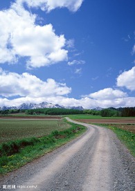 蓝天白云田野大地庄稼(老牛爱吃嫩草上传)