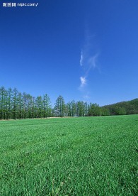 蓝天白云田野大地庄稼(老牛爱吃嫩草上传)