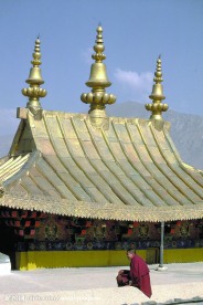 中国文化