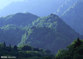 瀑布溪流树林河水(老牛爱吃嫩草上传)