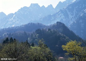 瀑布溪流树林河山(老牛爱吃嫩草上传)