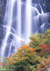 瀑布溪流树林河水(老牛爱吃嫩草上传)