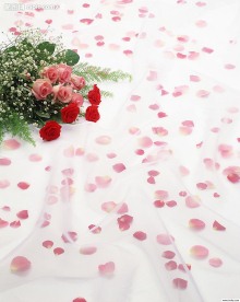 花瓣
