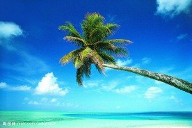 美丽海景