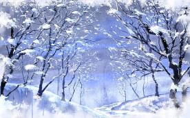 冬天.雪