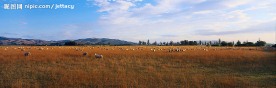 宽幅自然风景图片六