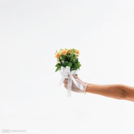 结婚进行曲